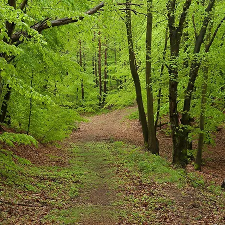 Bsw Ahlbeck هيرينجسدورف